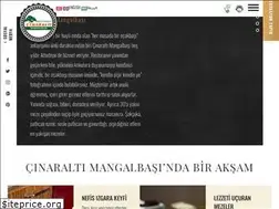 Sites similar to cinaraltimangalbasi.com