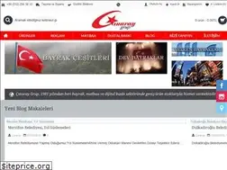 Sites similar to cinaraygrup.com