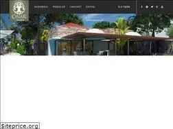 Sites similar to cinareliteyapi.com.tr