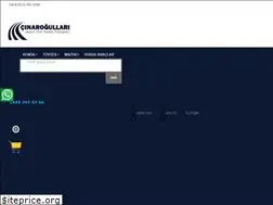 Sites similar to cinarotomotiv.com.tr