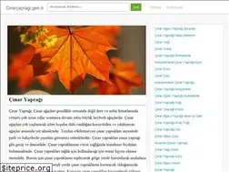 Sites similar to cinaryapragi.gen.tr