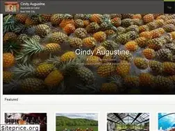Sites similar to cindyaugustine.pressfolios.com