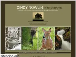 Sites similar to cindynowlinphotography.com
