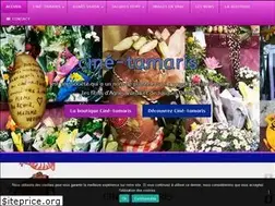 Sites similar to cine-tamaris.com
