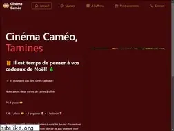 Sites similar to cinecameo.be