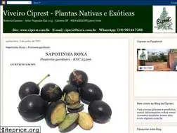 Sites similar to ciprest.blogspot.com
