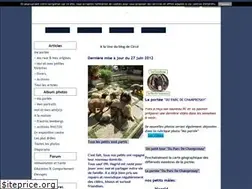 Sites similar to circe91.blog4ever.com
