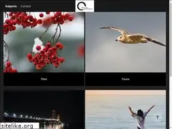 Sites similar to circlebackphoto.com