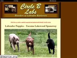 Sites similar to circleblabs.com