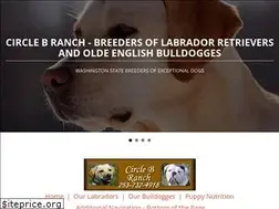 Sites similar to circlebranch.co