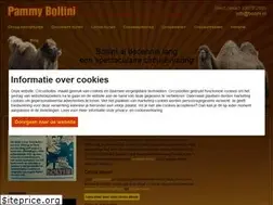 Sites similar to circusboltini.nl
