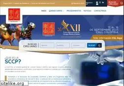 Sites similar to cirugiaplastica.org.co