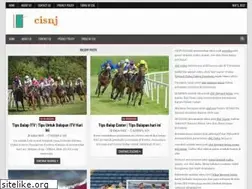 Sites similar to cisnj.org