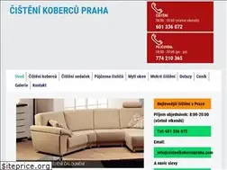 Sites similar to cistenikobercupraha.com
