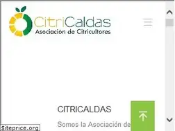 Sites similar to citricaldas.com.co