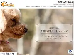 Sites similar to citron-pet.com