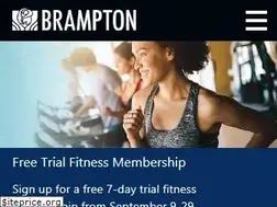 Sites similar to city.brampton.on.ca