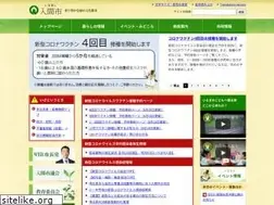 Sites similar to city.iruma.saitama.jp