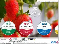 Sites similar to city.kanuma.tochigi.jp