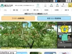 Sites similar to city.minami-alps.yamanashi.jp