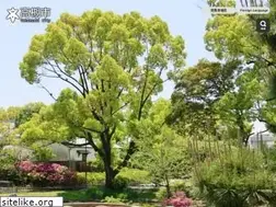 Sites similar to city.takatsuki.osaka.jp