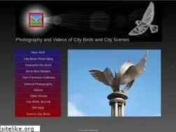 Sites similar to citybirds.com