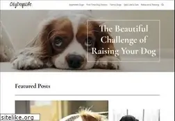 Sites similar to citydogslife.com