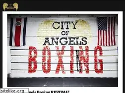 Sites similar to cityofangelsboxing.com
