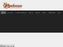 Sites similar to cityofopelousas.com