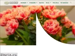Sites similar to cityortopedi.se