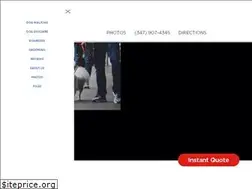 Sites similar to citytailsnyc.com