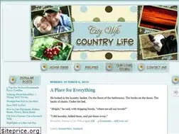 Sites similar to citywifecountrylife.com