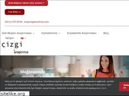 Sites similar to cizgiarastirma.com