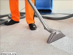 Sites similar to cjcarpetcleaningsandiego.com