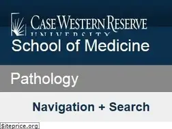 Sites similar to cjdsurveillance.com