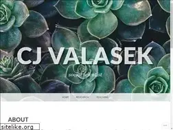 Sites similar to cjvalasek.com
