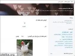 Sites similar to ckickenshop.blogsky.com