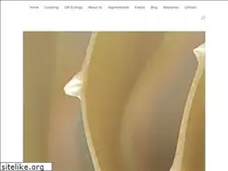 Sites similar to claritycoachinginstitute.com
