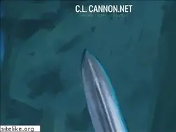 Sites similar to clcannon.net