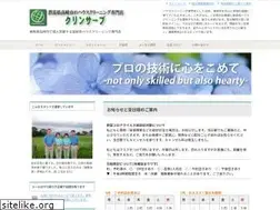 Sites similar to cleanserve.net