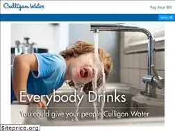 Sites similar to cleanwatercorp.com