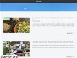 Sites similar to clearprants.com