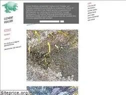 Sites similar to clementvuillier.com