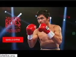 Sites similar to cletoreyesboxing.com