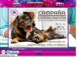 Sites similar to clinicaveterinariacarteros.com