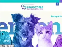 Sites similar to cliniquelingostiere.com