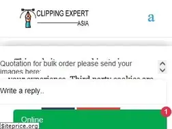 Sites similar to clippingexpertasia.com
