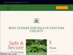 Sites similar to clonesventuracounty.com