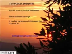 Sites similar to cloudcarverenterprises.com