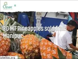 Sites similar to cloverorganic.com